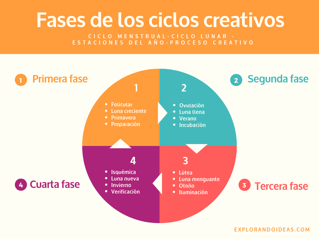 cuales son las 4 etapas de la menstruacion